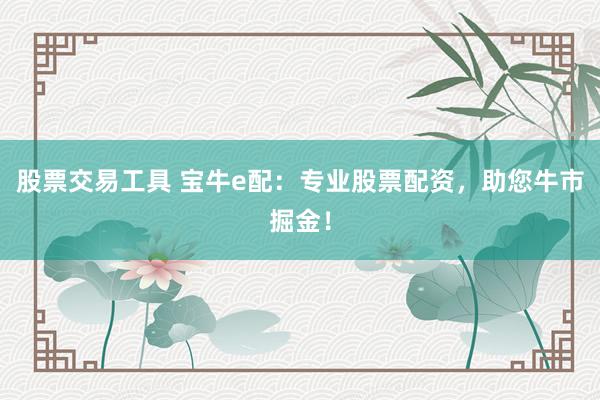 股票交易工具 宝牛e配：专业股票配资，助您牛市掘金！