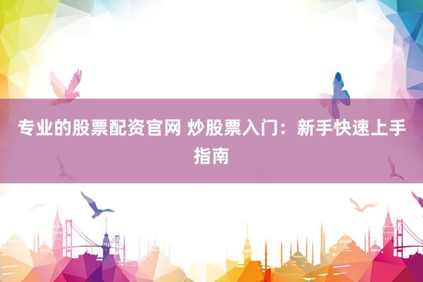 专业的股票配资官网 炒股票入门：新手快速上手指南