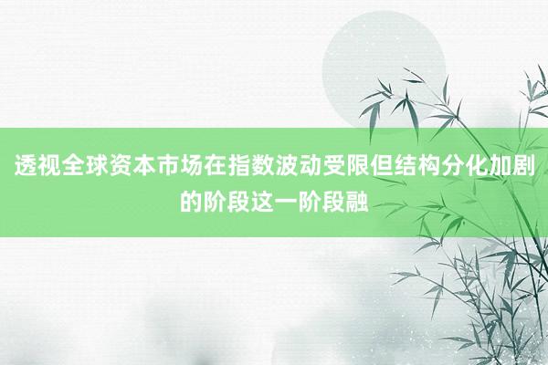 透视全球资本市场在指数波动受限但结构分化加剧的阶段这一阶段融