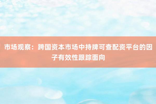 市场观察：跨国资本市场中持牌可查配资平台的因子有效性跟踪面向