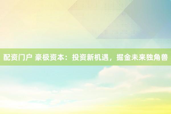 配资门户 豪极资本：投资新机遇，掘金未来独角兽