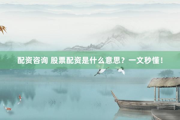 配资咨询 股票配资是什么意思？一文秒懂！