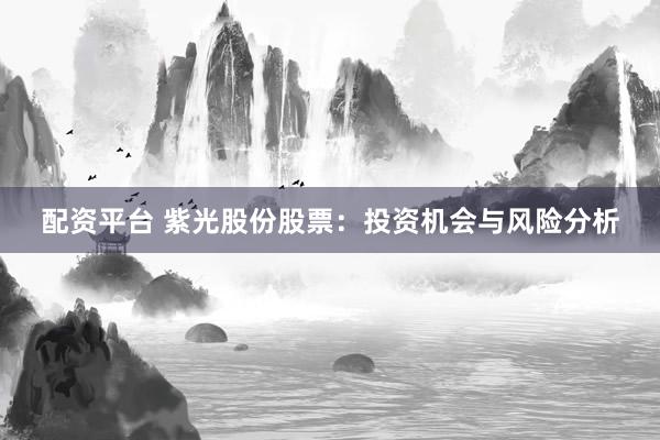 配资平台 紫光股份股票：投资机会与风险分析