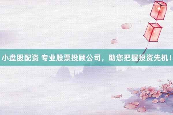 小盘股配资 专业股票投顾公司，助您把握投资先机！